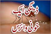 روزنامہ اسلام